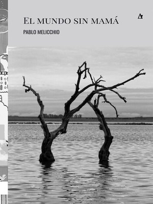 cover image of El mundo sin mamá